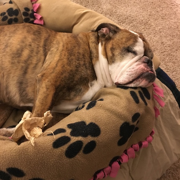 Meet your Posher, Kara - Picture 4 of 5